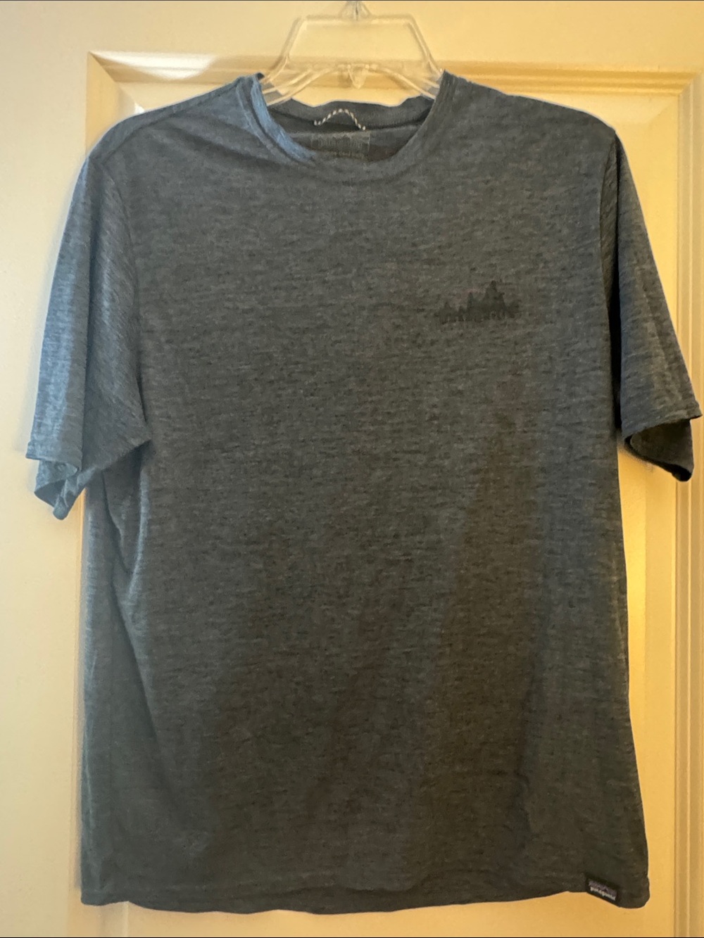 Patagonia Men's Slate Gray Short-Sleeve Crew Tee